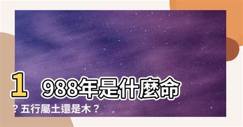 1988 屬什麼|【1988年五行】1988年五行屬什麼？龍年出生五行缺什麼？